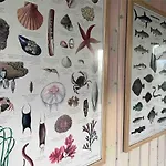 Veludstyret I Unik 350 M Fra Laekker Badestrand - Helarsbolig Saltum