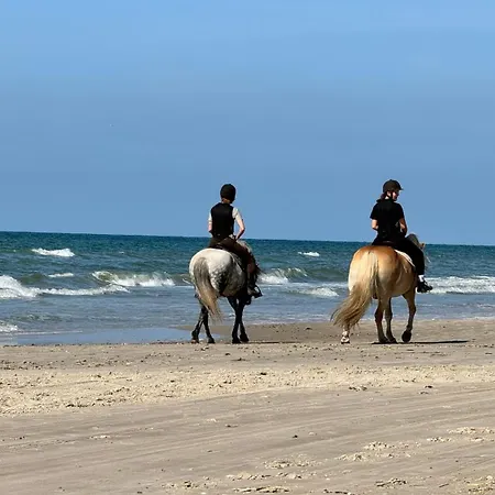 Veludstyret I Unik 350 M Fra Lækker Badestrand - Helårsbolig *