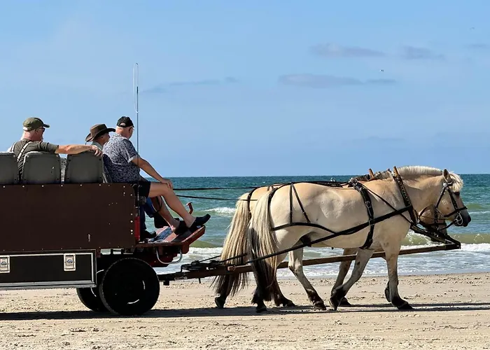 Veludstyret I Unik 350 M Fra Laekker Badestrand - Helarsbolig Holiday home *