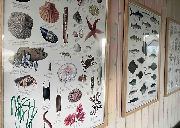 Veludstyret I Unik 350 M Fra Laekker Badestrand - Helarsbolig Saltum